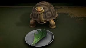 Img.jpg