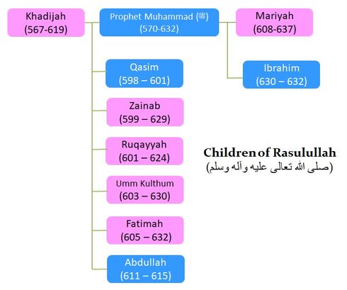 prophet muhammad wives family tree