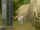 Thromnambular FusionFall.png