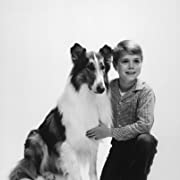 Lassie (1954 TV series) - Wikipedia