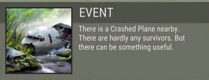 Crashed Plane event