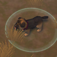 Puppy Last Day On Earth Survival Wiki Fandom