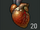 Infected heart