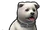 Щенок. Белый.png