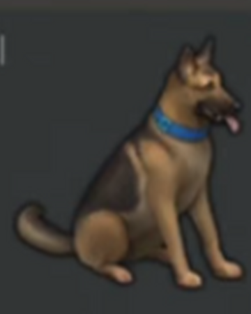 Dog | Last Day on Earth: Survival Wiki 