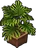 Houseplant-Icon