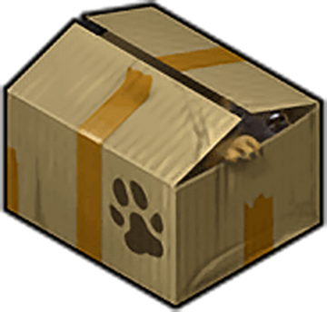 Puppy in a box clearance
