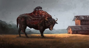 Infected Bull