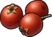 Ягода