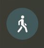 Passive skill- WALKER icon.jpeg