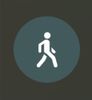 Passive skill- WALKER icon