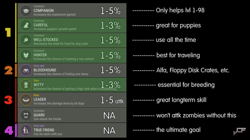 JCF Stats and Strats