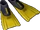 Flippers