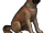 Собака