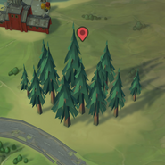Pine Wood map