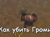 Инструкция по убийству громилы