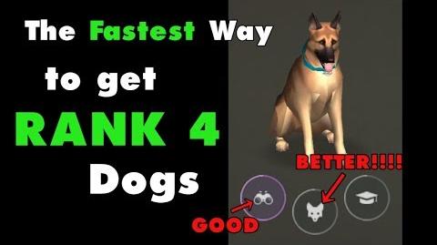 The fastest way to get Rank 4 dogs in Last Day on Earth (v.1.7