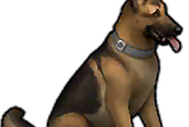 Last day on earth dry dog food deals