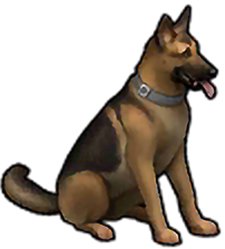 Last day on online earth dry dog food