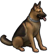 Last day on earth dry dog food discount