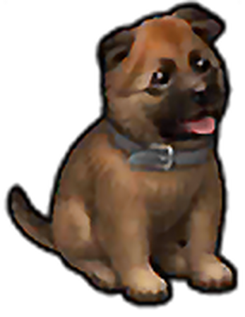 Dogs last day on earth sales