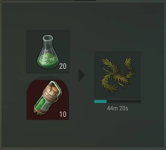 Seaweed Farm Processing