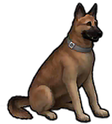 Last place on earth pet store clearance
