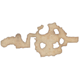 ThePutridLairMiniMap
