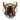 Druid