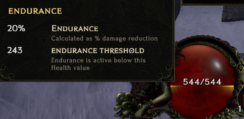 Endurance pane