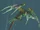 Archaeopteryx