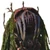 AnthrovoreFamilyIco