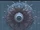 Blackmoon