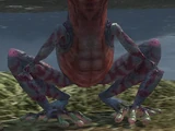 Dragon Rana