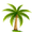 Palm