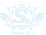Team SII