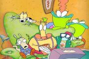 Rocko TV