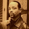 Fin Tutuola SVU Icon 1