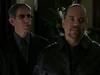 Munch Fin Brotherhood