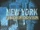 New York Undercover