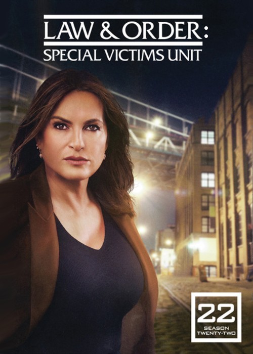 Law and order svu season 22 episode 9 sales