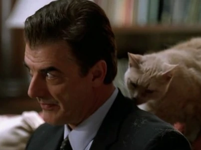 Bombshell (CI) | Law and Order | Fandom