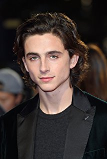 Fan Casting Timothée Chalamet as Fredbear in Five Nights at Freddy's (1-SL)  on myCast