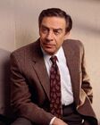 Lennie briscoe