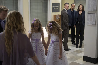 Patrimonial Burden Law And Order Fandom