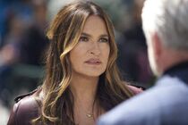 SVU2321