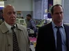 Cragen Stabler Shaken