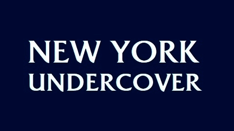 new york undercover season 1 episode 12