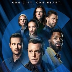 Category Chicago Franchise Law And Order Fandom
