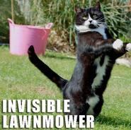 Invisible lawnmower